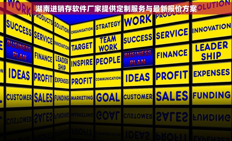 湖南进销存软件厂家提供定制服务与最新报价方案