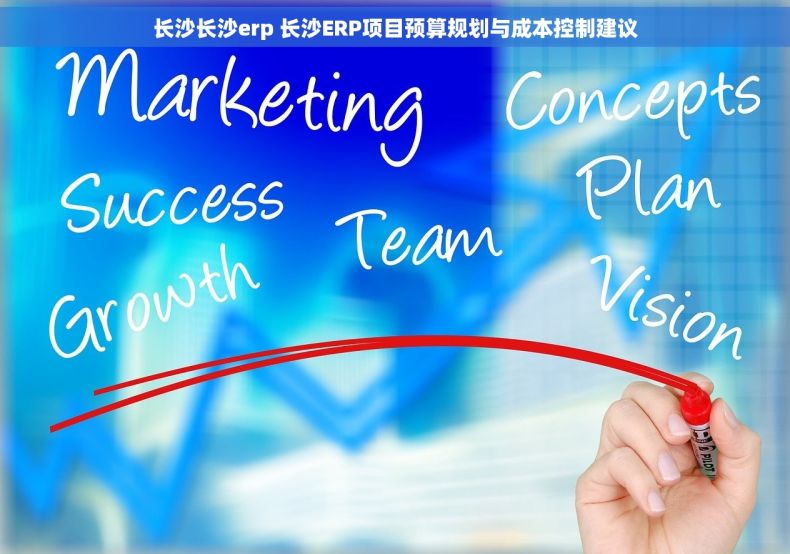 长沙长沙erp 长沙ERP项目预算规划与成本控制建议