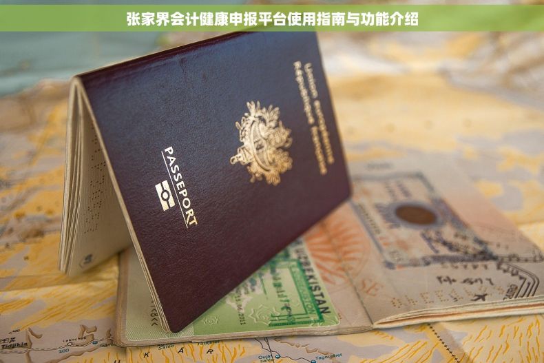 张家界会计健康申报平台使用指南与功能介绍