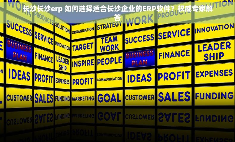 长沙长沙erp 如何选择适合长沙企业的ERP软件？权威专家解答