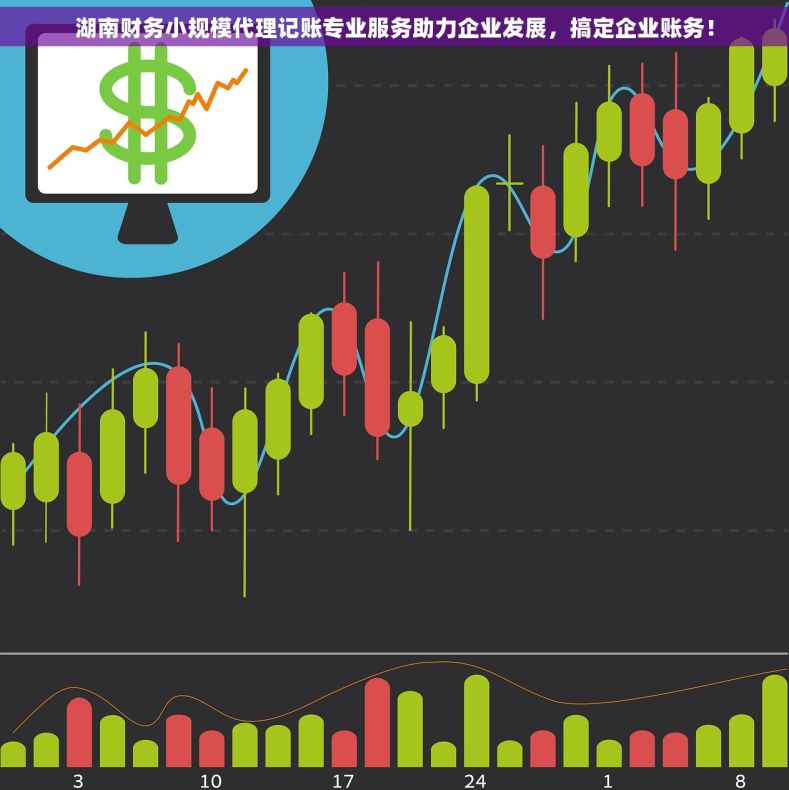 湖南财务小规模代理记账专业服务助力企业发展，搞定企业账务！