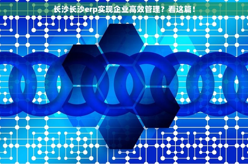 长沙长沙erp实现企业高效管理？看这篇！