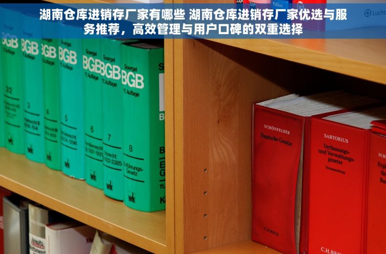 湖南仓库进销存厂家有哪些 湖南仓库进销存厂家优选与服务推荐，高效管理与用户口碑的双重选择