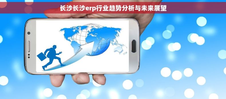 长沙长沙erp行业趋势分析与未来展望