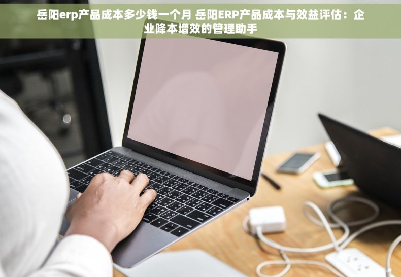 岳阳erp产品成本多少钱一个月 岳阳ERP产品成本与效益评估：企业降本增效的管理助手