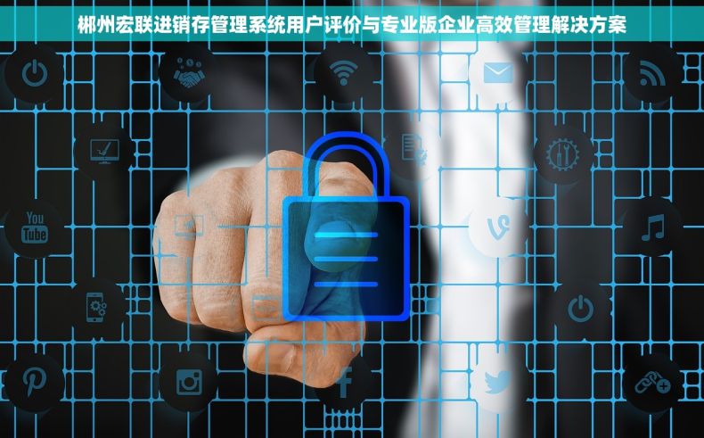 郴州宏联进销存管理系统用户评价与专业版企业高效管理解决方案