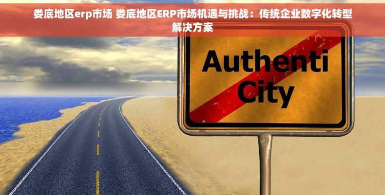 娄底地区erp市场 娄底地区ERP市场机遇与挑战：传统企业数字化转型解决方案