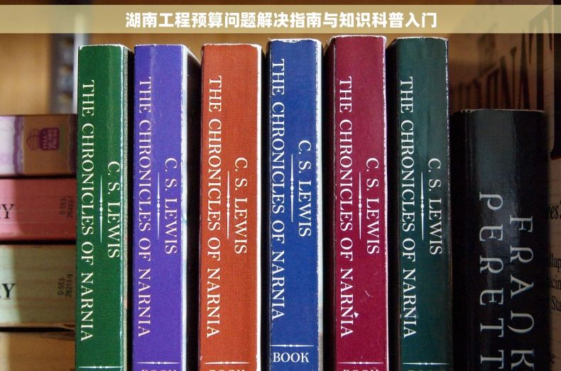 湖南工程预算问题解决指南与知识科普入门