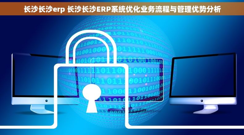 长沙长沙erp 长沙长沙ERP系统优化业务流程与管理优势分析
