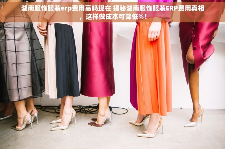 湖南服饰服装erp费用高吗现在 揭秘湖南服饰服装ERP费用真相，这样做成本可降低%！
