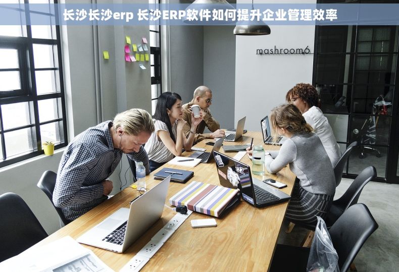 长沙长沙erp 长沙ERP软件如何提升企业管理效率