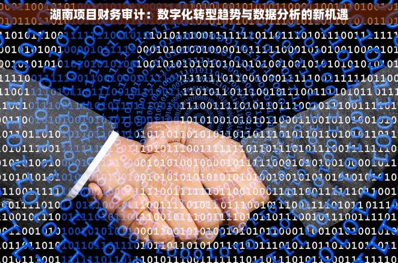 湖南项目财务审计：数字化转型趋势与数据分析的新机遇