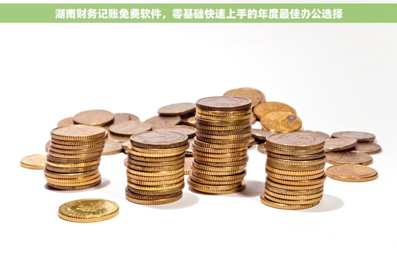 湖南财务记账免费软件，零基础快速上手的年度最佳办公选择