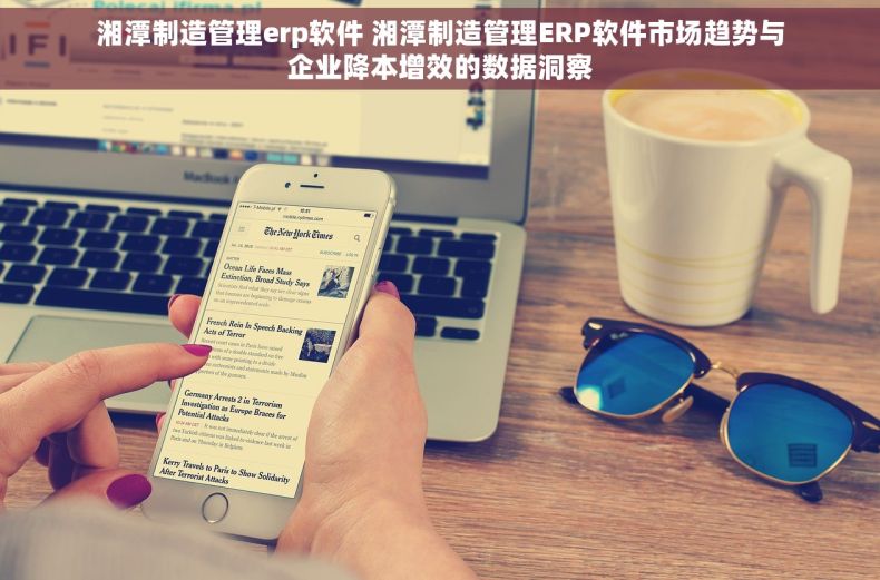 湘潭制造管理erp软件 湘潭制造管理ERP软件市场趋势与企业降本增效的数据洞察