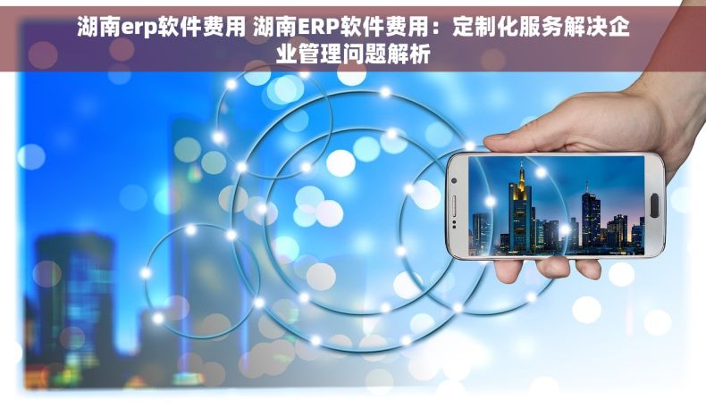 湖南erp软件费用 湖南ERP软件费用：定制化服务解决企业管理问题解析