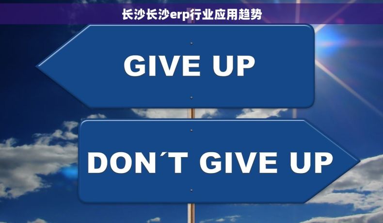 长沙长沙erp行业应用趋势