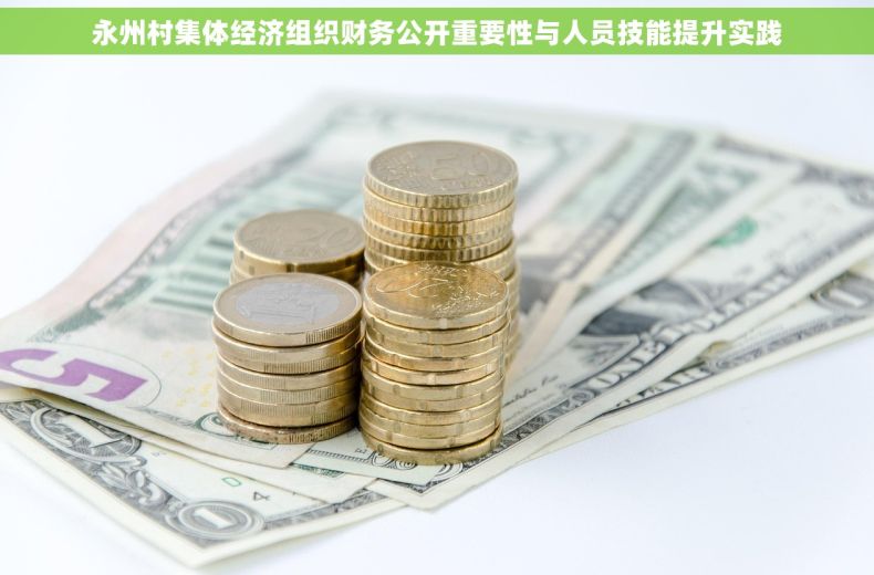 永州村集体经济组织财务公开重要性与人员技能提升实践