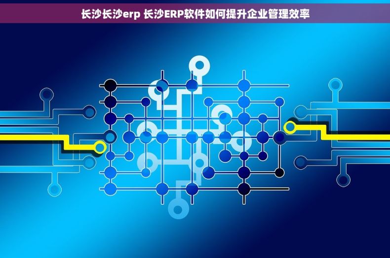 长沙长沙erp 长沙ERP软件如何提升企业管理效率