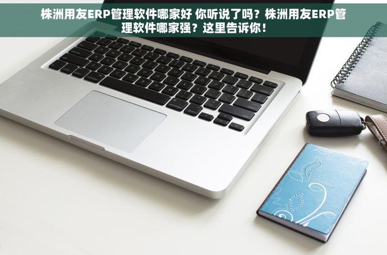 株洲用友ERP管理软件哪家好 你听说了吗？株洲用友ERP管理软件哪家强？这里告诉你！
