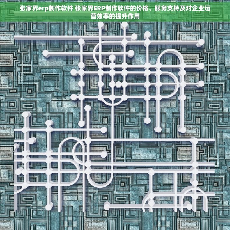 张家界erp制作软件 张家界ERP制作软件的价格、服务支持及对企业运营效率的提升作用