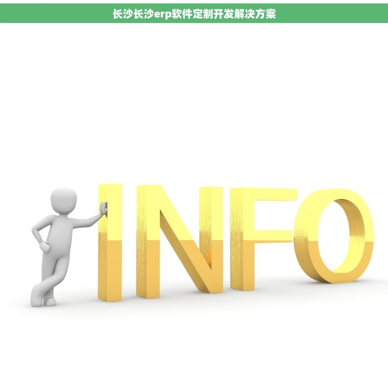 长沙长沙erp软件定制开发解决方案