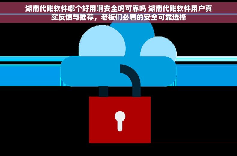 湖南代账软件哪个好用啊安全吗可靠吗 湖南代账软件用户真实反馈与推荐，老板们必看的安全可靠选择