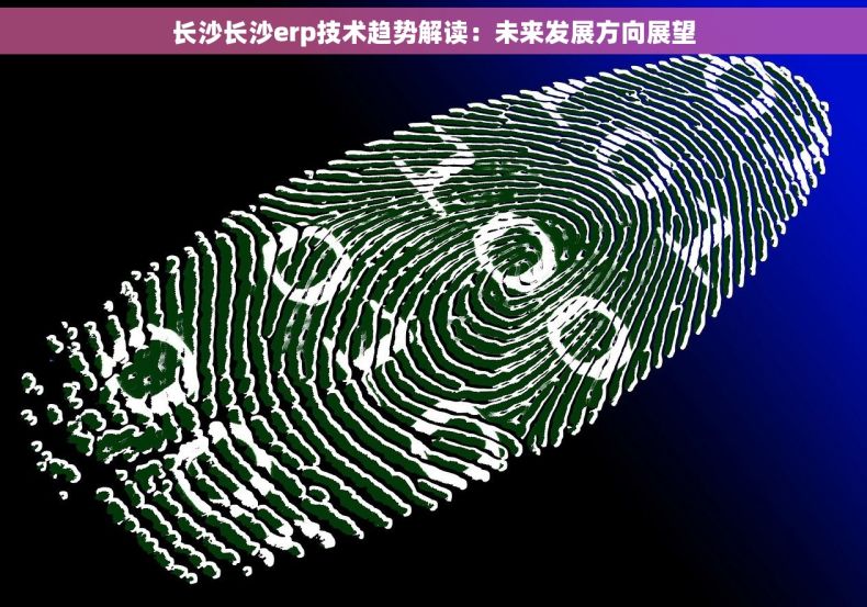 长沙长沙erp技术趋势解读：未来发展方向展望