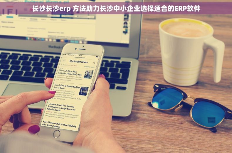 长沙长沙erp 方法助力长沙中小企业选择适合的ERP软件
