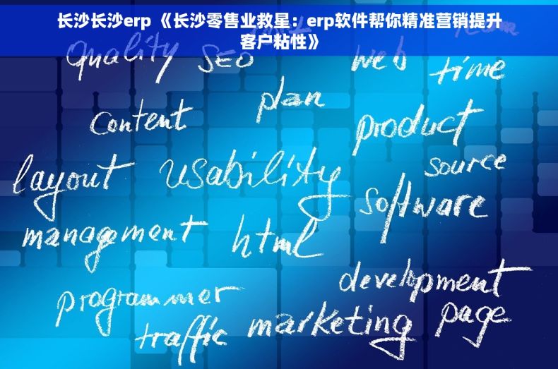 长沙长沙erp 《长沙零售业救星：erp软件帮你精准营销提升客户粘性》