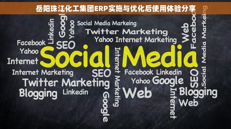 岳阳珠江化工集团ERP实施与优化后使用体验分享