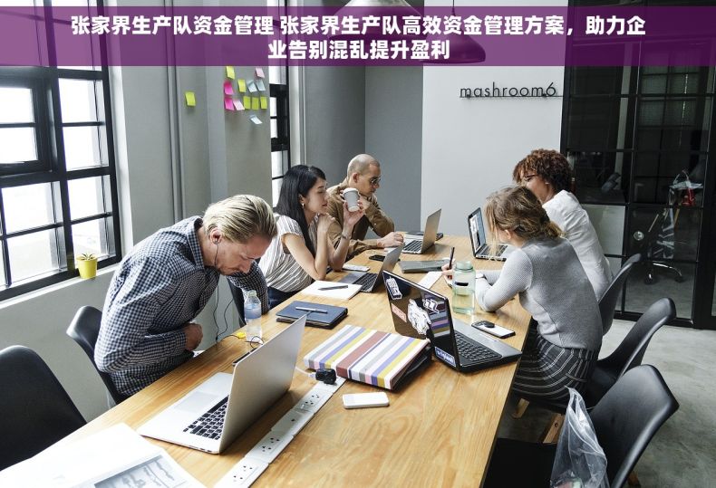 张家界生产队资金管理 张家界生产队高效资金管理方案，助力企业告别混乱提升盈利