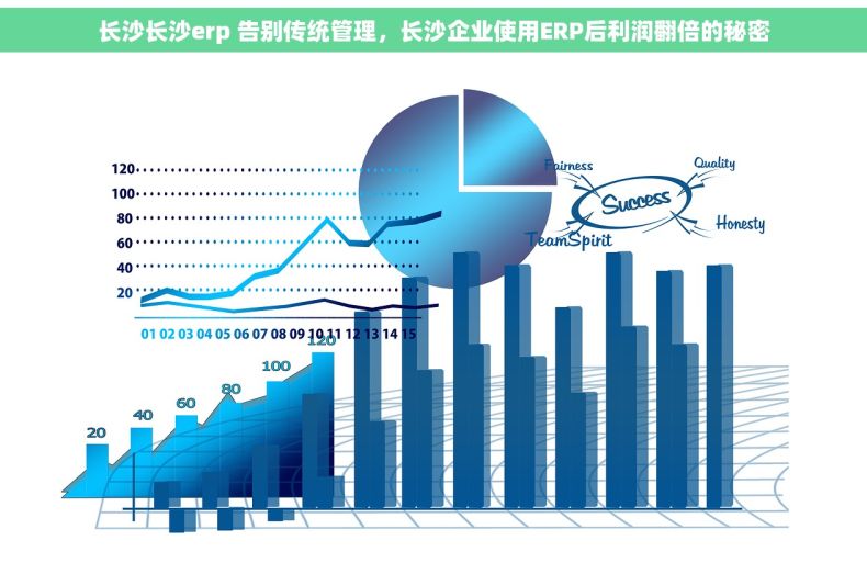 长沙长沙erp 告别传统管理，长沙企业使用ERP后利润翻倍的秘密