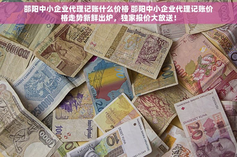 邵阳中小企业代理记账什么价格 邵阳中小企业代理记账价格走势新鲜出炉，独家报价大放送！