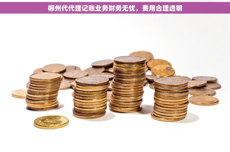 郴州代代理记账业务财务无忧，费用合理透明