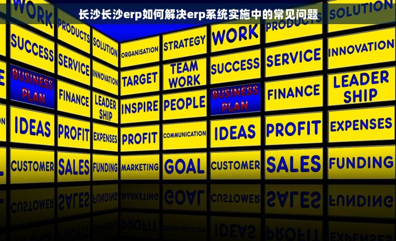 长沙长沙erp如何解决erp系统实施中的常见问题