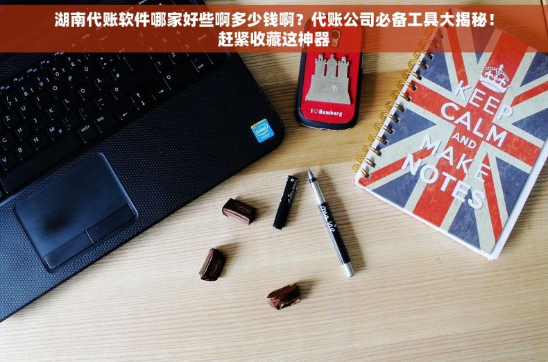 湖南代账软件哪家好些啊多少钱啊？代账公司必备工具大揭秘！赶紧收藏这神器