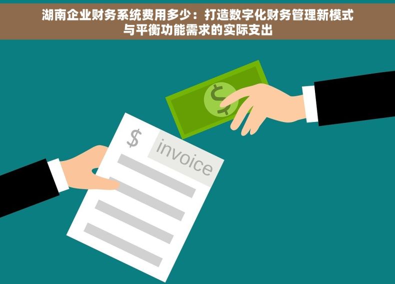 湖南企业财务系统费用多少：打造数字化财务管理新模式与平衡功能需求的实际支出