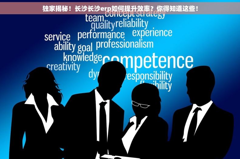 独家揭秘！长沙长沙erp如何提升效率？你得知道这些！