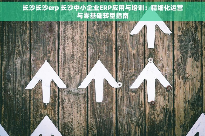 长沙长沙erp 长沙中小企业ERP应用与培训：精细化运营与零基础转型指南