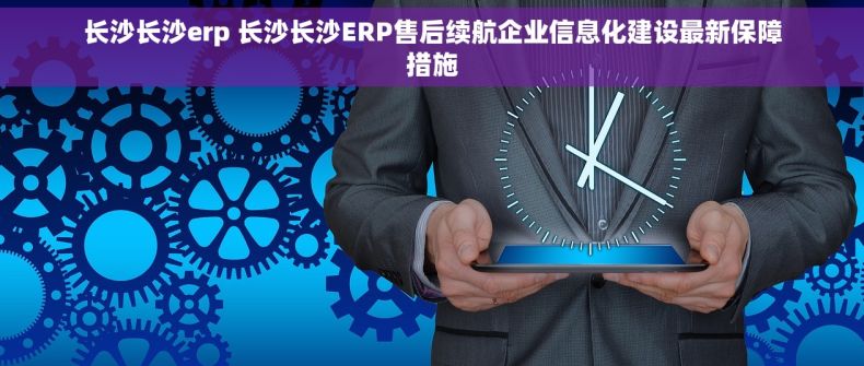 长沙长沙erp 长沙长沙ERP售后续航企业信息化建设最新保障措施