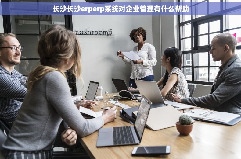 长沙长沙erperp系统对企业管理有什么帮助