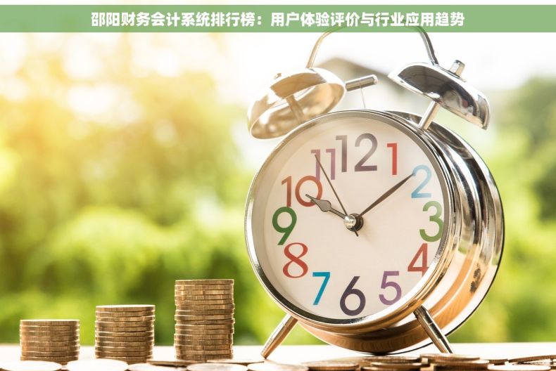 邵阳财务会计系统排行榜：用户体验评价与行业应用趋势