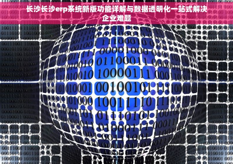 长沙长沙erp系统新版功能详解与数据透明化一站式解决企业难题
