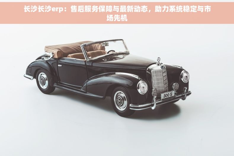 长沙长沙erp：售后服务保障与最新动态，助力系统稳定与市场先机