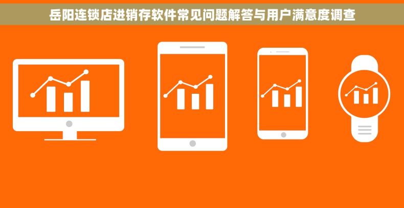 岳阳连锁店进销存软件常见问题解答与用户满意度调查