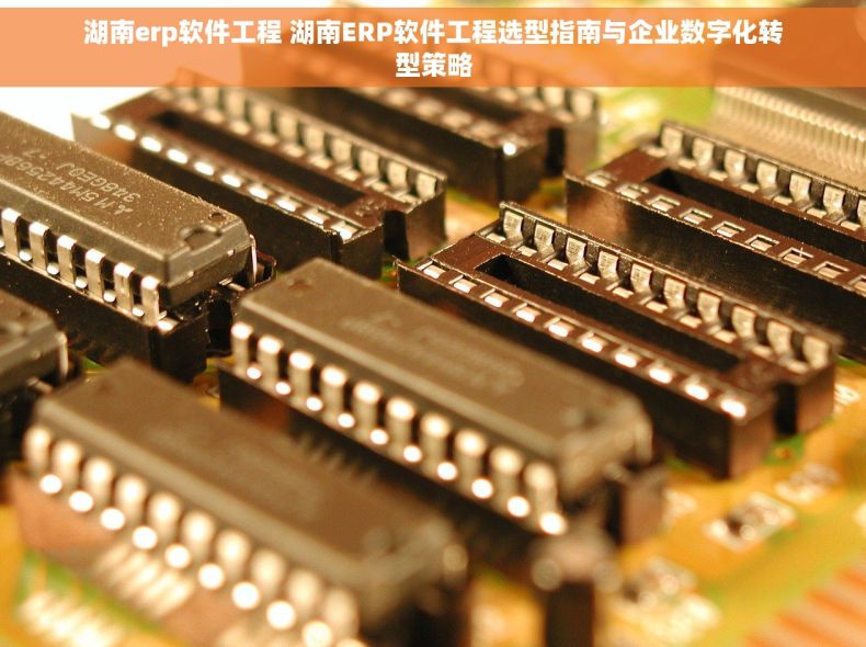 湖南erp软件工程 湖南ERP软件工程选型指南与企业数字化转型策略
