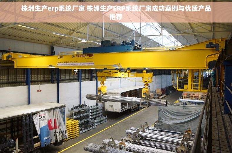 株洲生产erp系统厂家 株洲生产ERP系统厂家成功案例与优质产品推荐