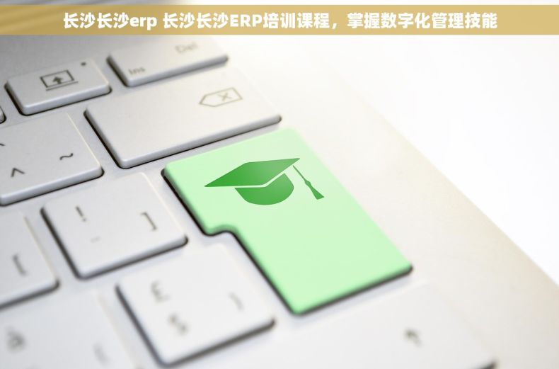 长沙长沙erp 长沙长沙ERP培训课程，掌握数字化管理技能