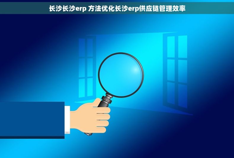 长沙长沙erp 方法优化长沙erp供应链管理效率