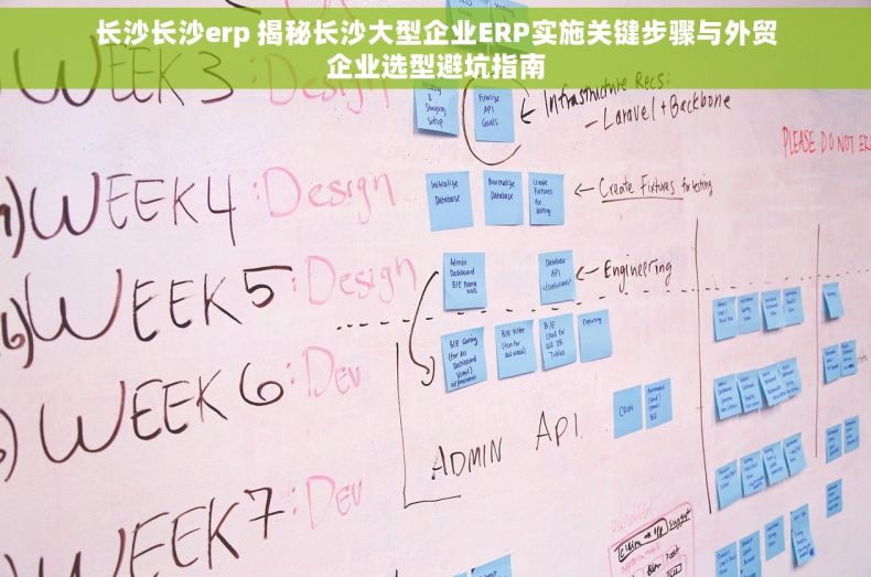 长沙长沙erp 揭秘长沙大型企业ERP实施关键步骤与外贸企业选型避坑指南